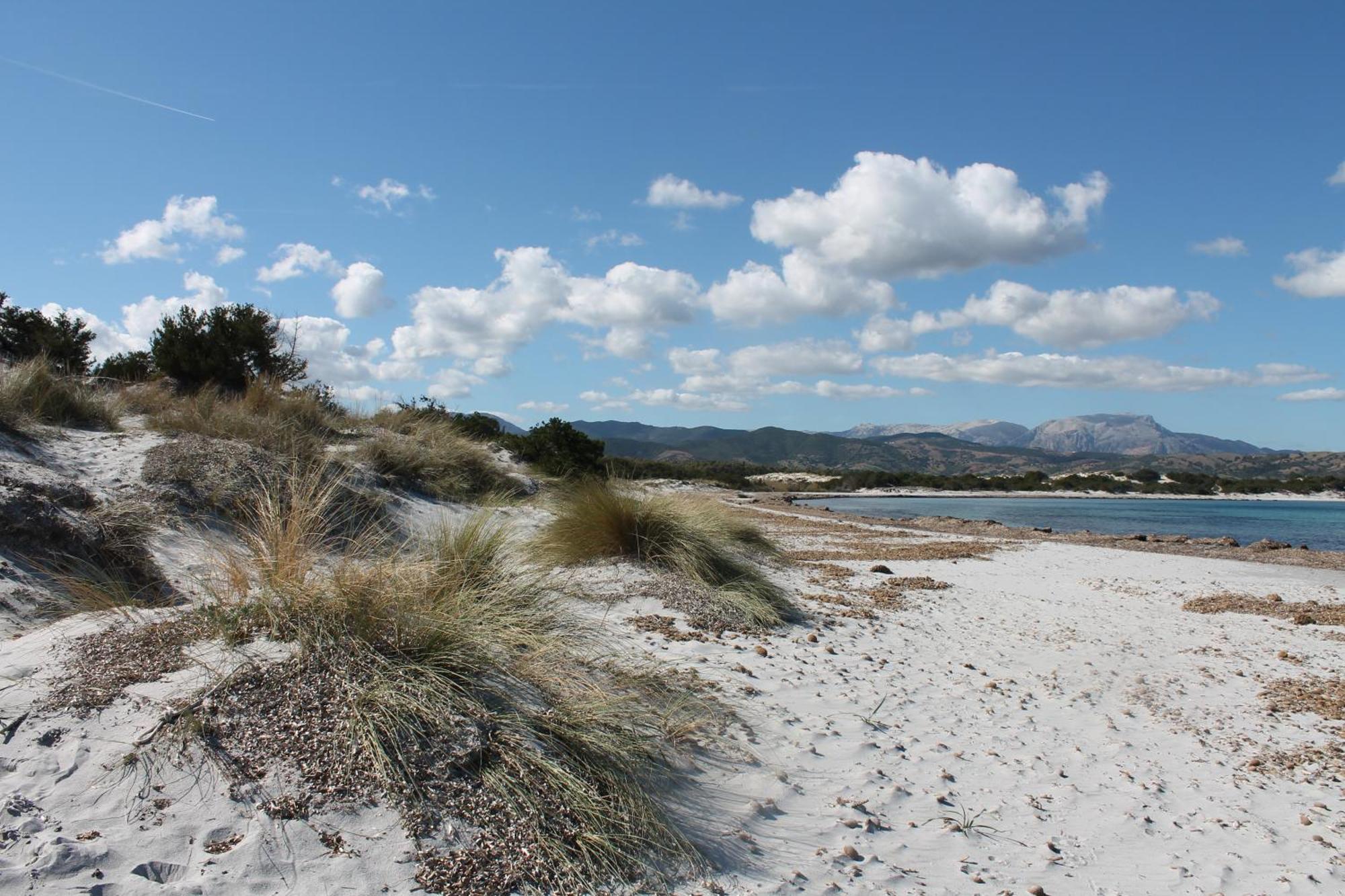 Villetta 1.2 Km Dalla Spiaggia Budoniaffitti 塔瑙内拉 外观 照片